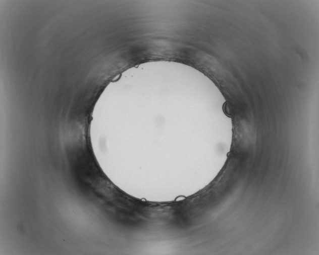 X0000112430333200909251542