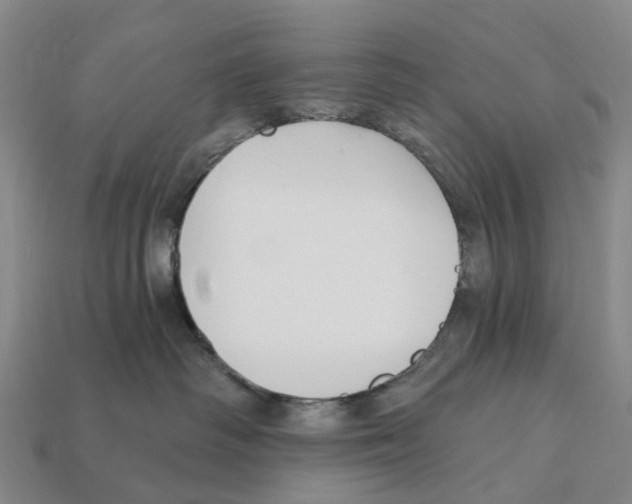 X0000112430334200909251542