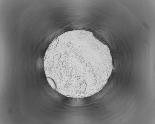 X0000112430335200909251542