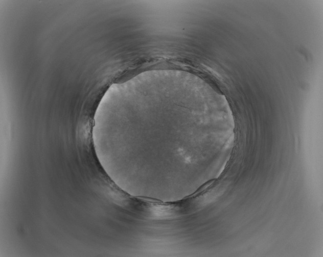 X0000112430336200909251542