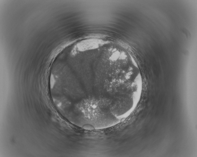 X0000112430337200909251541