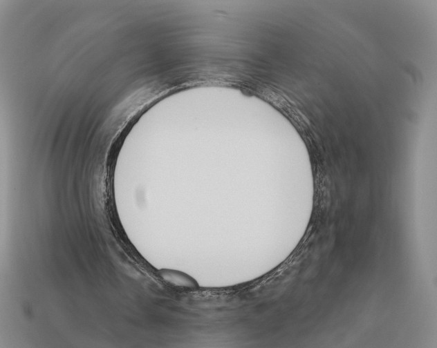 X0000112430338200909251541