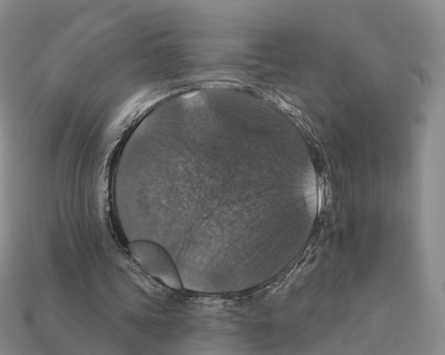 X0000112430339200909251541