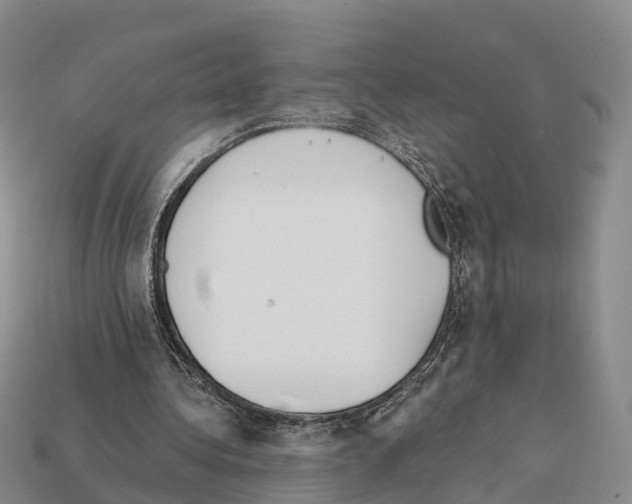 X0000112430340200909251541