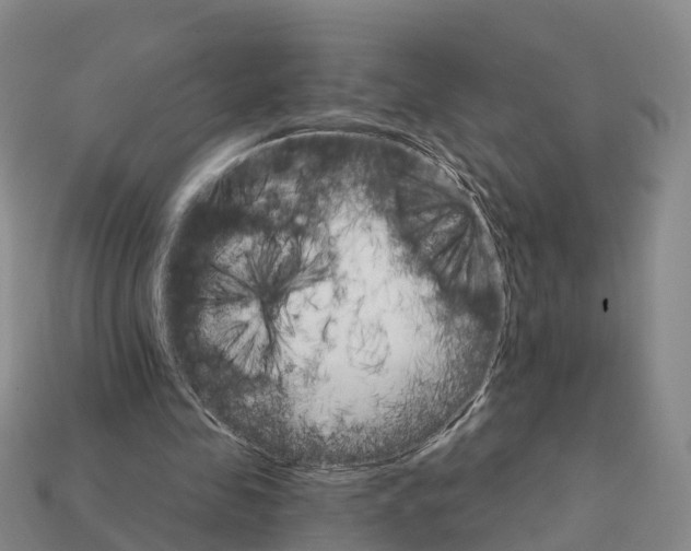 X0000112430341200909251541