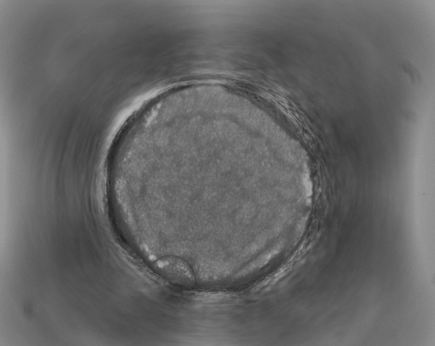 X0000112430342200909251541