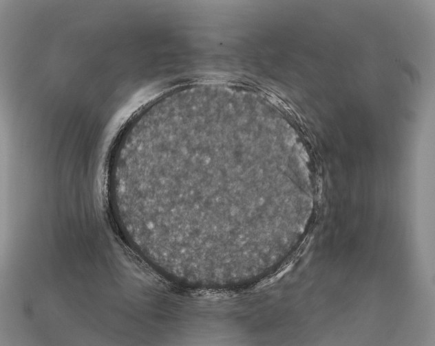 X0000112430343200909251541