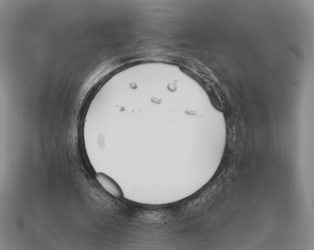 X0000112430344200909251541