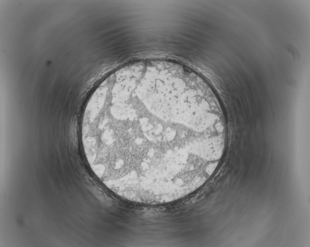 X0000112430345200909251541