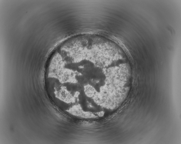 X0000112430346200909251541