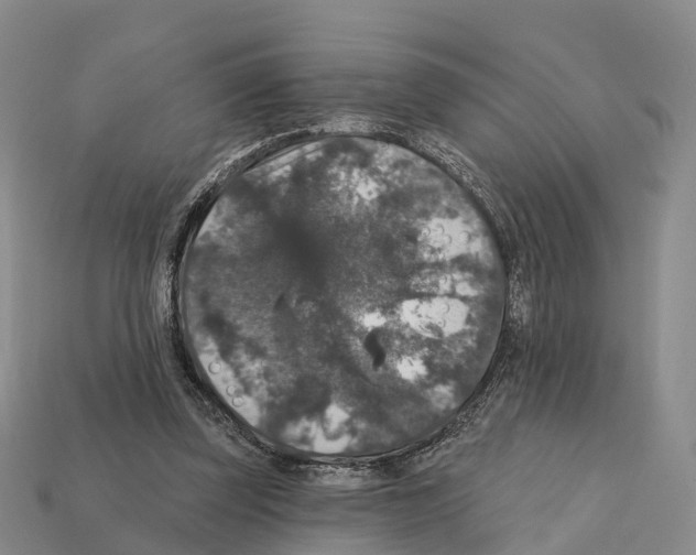 X0000112430347200909251541
