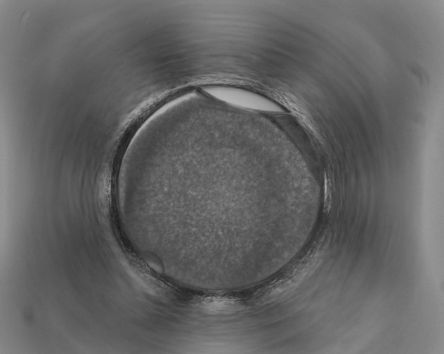 X0000112430348200909251541