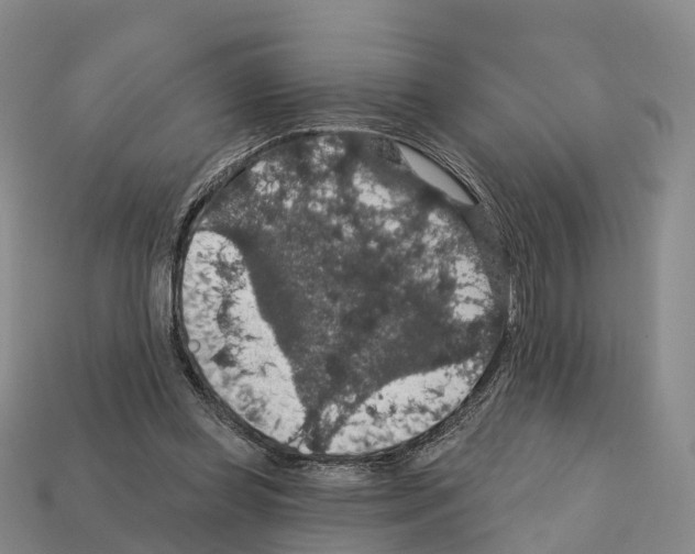X0000112430349200909251541