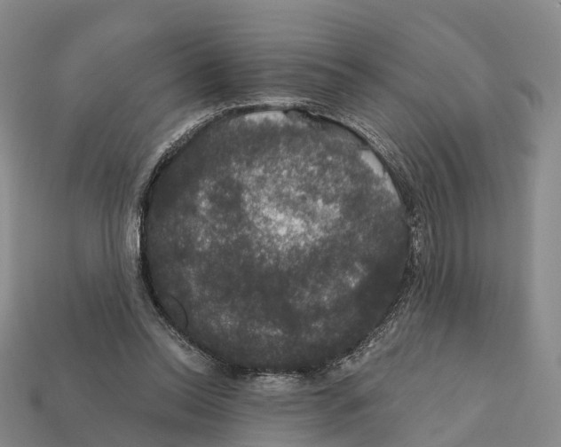 X0000112430350200909251541