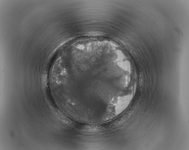 X0000112430351200909251541