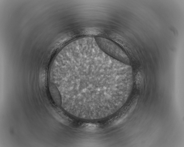 X0000112430352200909251541