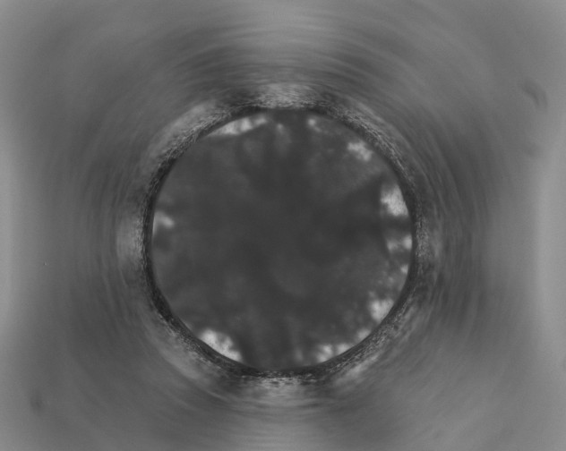 X0000112430353200909251541