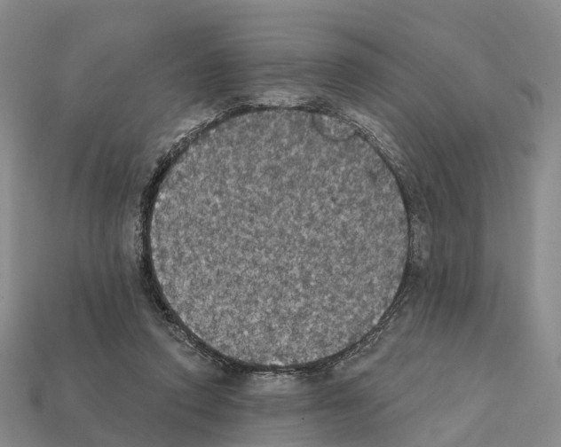 X0000112430354200909251541