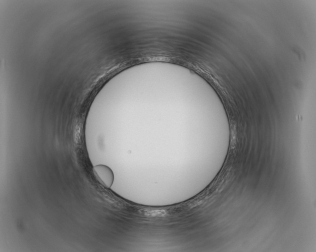 X0000112430355200909251541