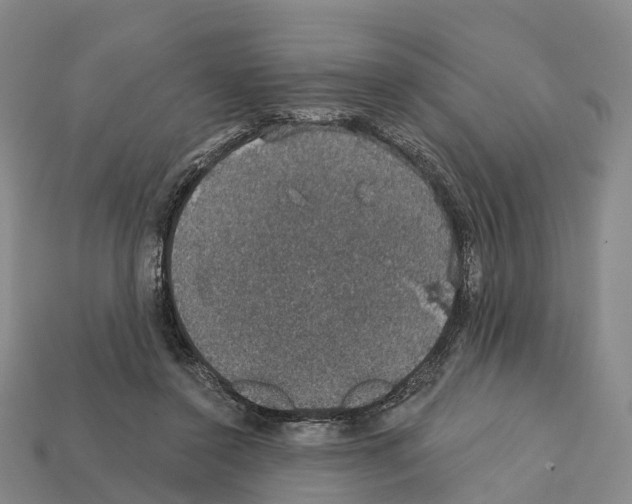 X0000112430356200909251541