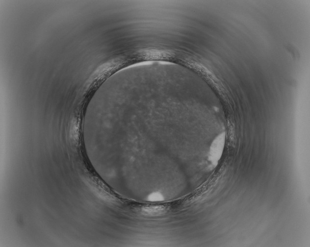 X0000112430357200909251541