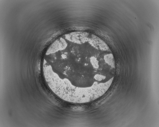 X0000112430358200909251541