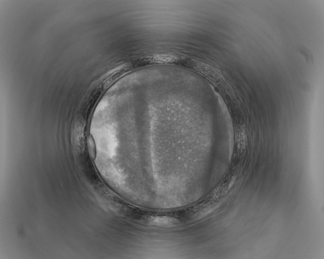 X0000112430360200909251541