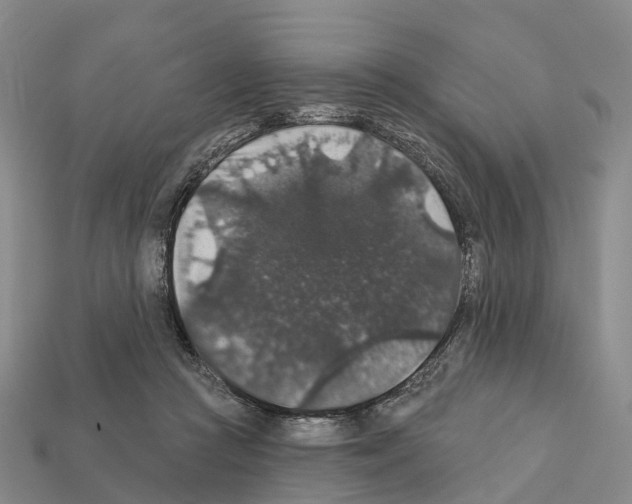 X0000112430361200909251541