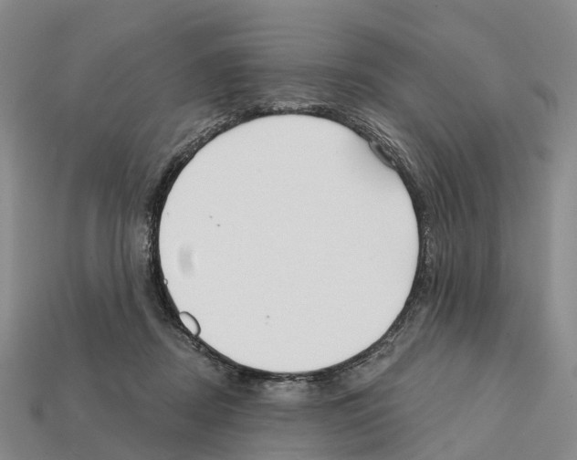 X0000112430362200909251541