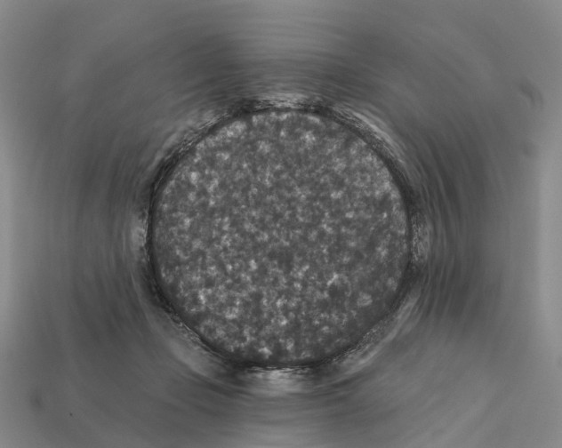 X0000112430365200909251541