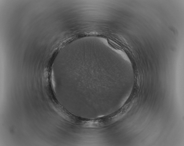 X0000112430366200909251542