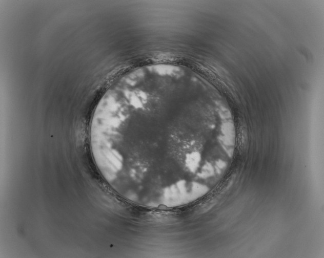 X0000112430367200909251542