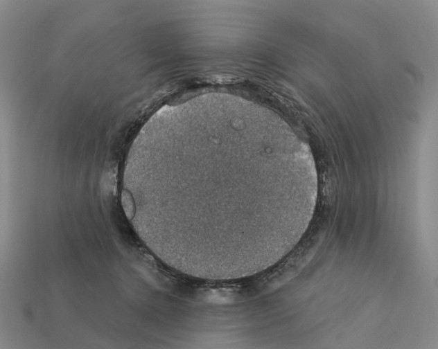 X0000112430368200909251542