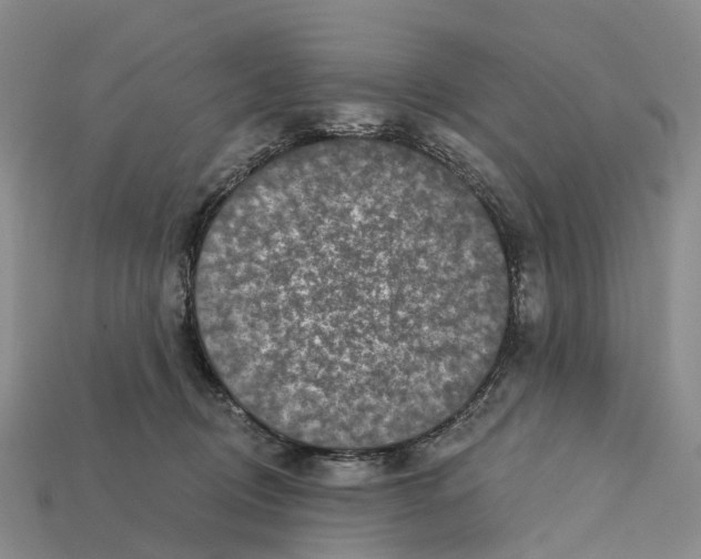 X0000112430370200909251542