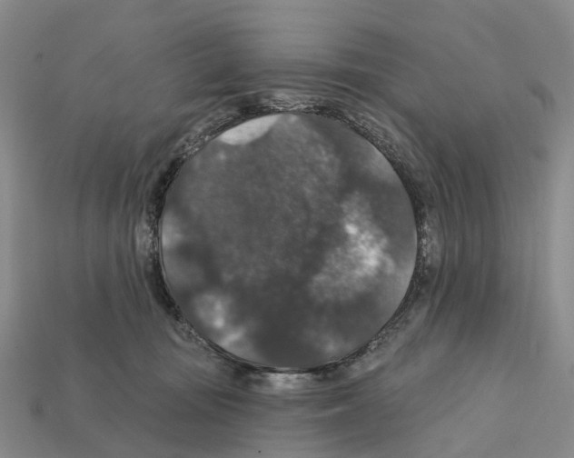 X0000112430371200909251542