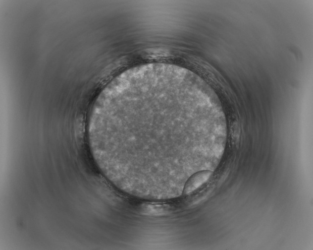 X0000112430372200909251542