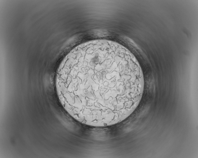 X0000112430373200909251542