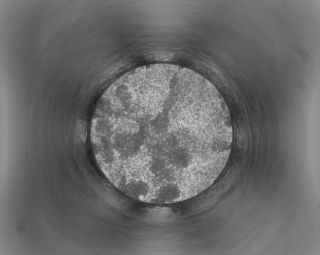 X0000112430374200909251542