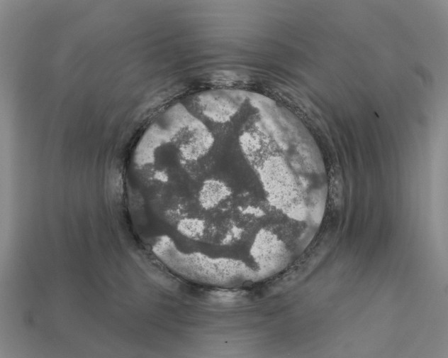 X0000112430375200909251542