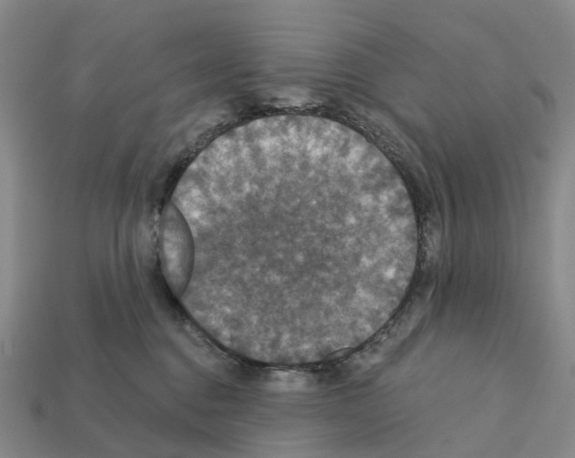 X0000112430376200909251542