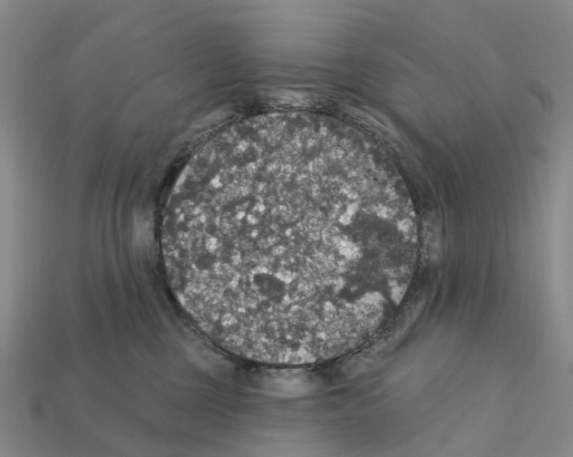 X0000112430377200909251542