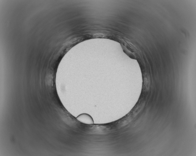 X0000112430379200909251542