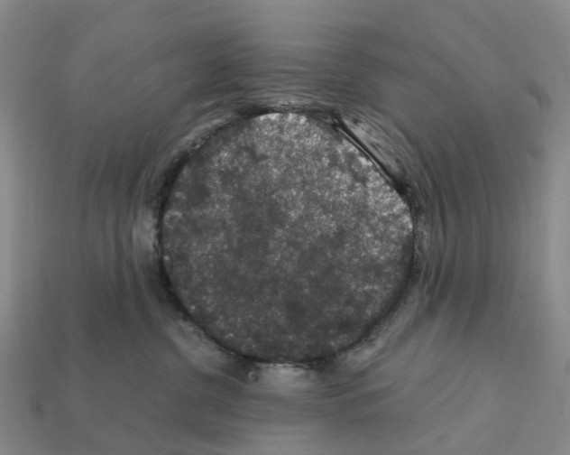 X0000112430380200909251542