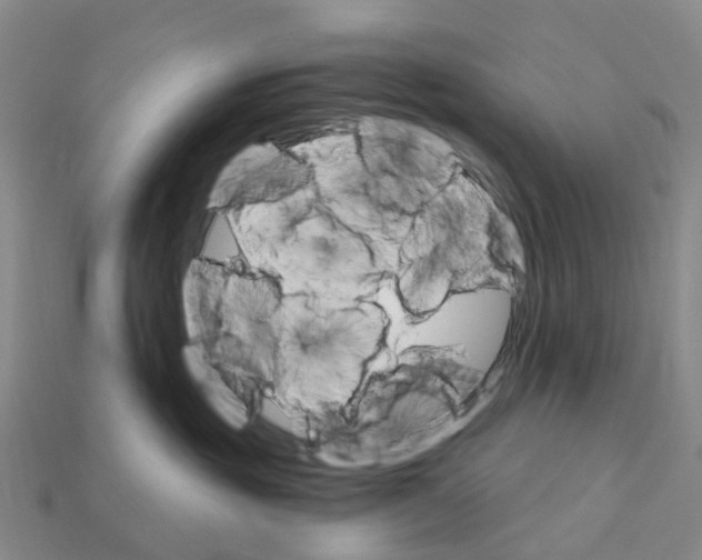 X0000112430381200909251542