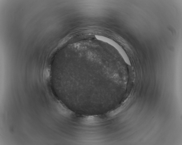 X0000112430382200909251542