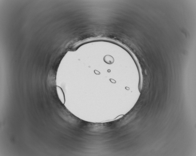 X0000112430384200909251542