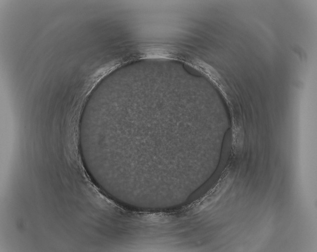 X0000112430385200909251541