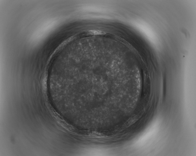 X0000112430387200909251541