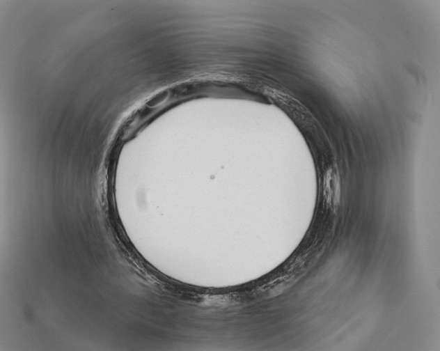 X0000112430388200909251541