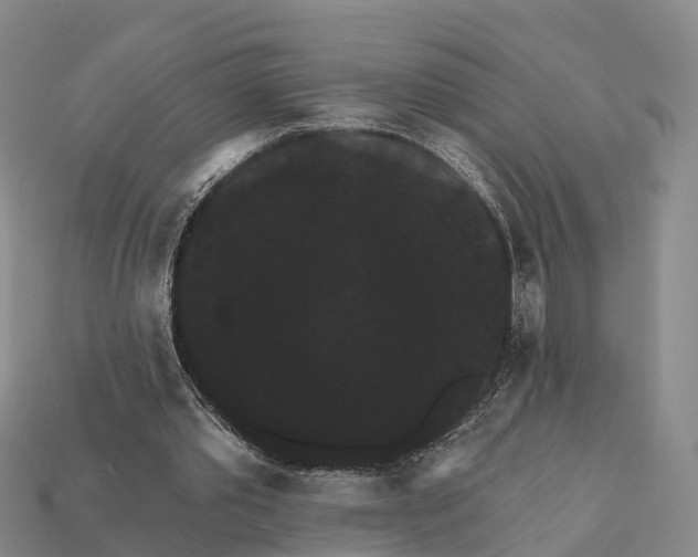 X0000112430389200909251541